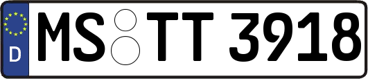 MS-TT3918