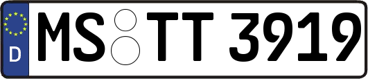 MS-TT3919