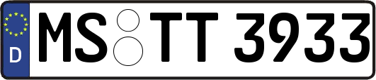 MS-TT3933