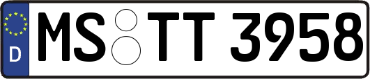 MS-TT3958