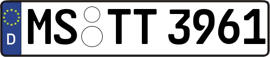 MS-TT3961