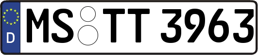 MS-TT3963