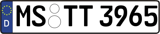 MS-TT3965