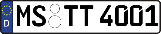 MS-TT4001