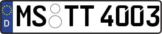 MS-TT4003