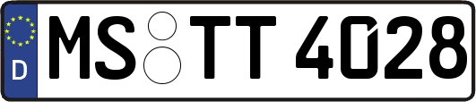 MS-TT4028
