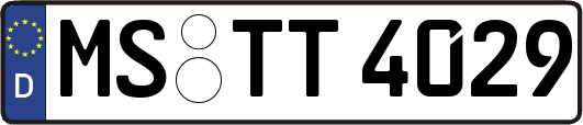 MS-TT4029