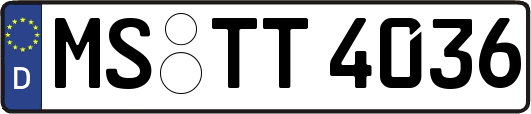 MS-TT4036