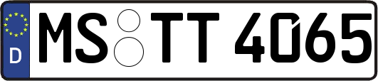 MS-TT4065