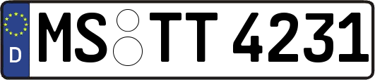 MS-TT4231