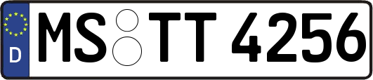 MS-TT4256