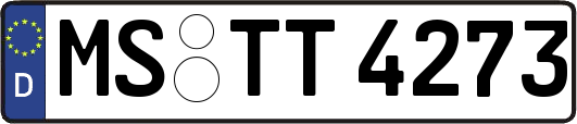 MS-TT4273