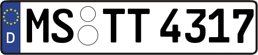 MS-TT4317