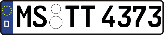 MS-TT4373