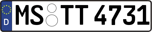 MS-TT4731