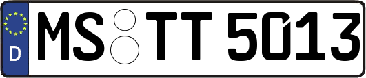 MS-TT5013