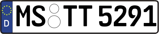 MS-TT5291