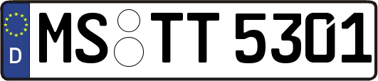 MS-TT5301