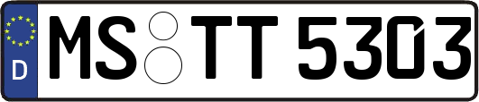 MS-TT5303