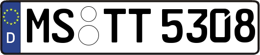 MS-TT5308