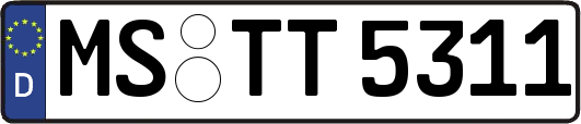 MS-TT5311