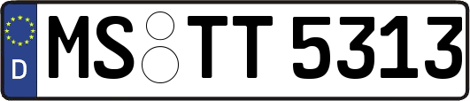 MS-TT5313