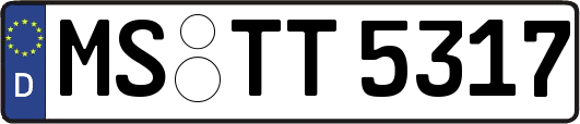 MS-TT5317