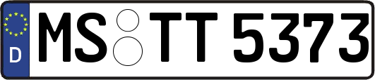 MS-TT5373