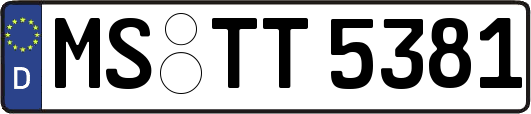 MS-TT5381