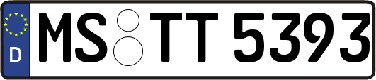 MS-TT5393