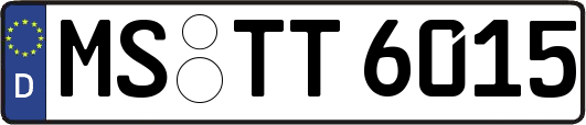 MS-TT6015
