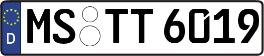 MS-TT6019