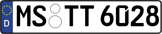 MS-TT6028