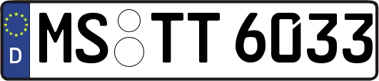 MS-TT6033