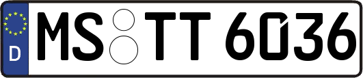 MS-TT6036