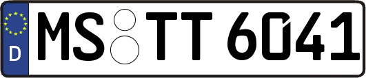 MS-TT6041