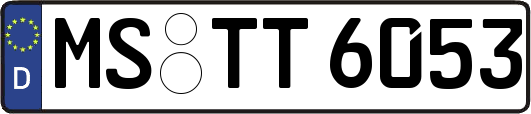MS-TT6053