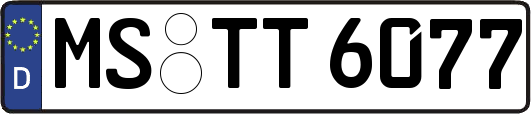 MS-TT6077