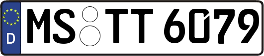 MS-TT6079