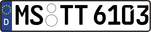 MS-TT6103
