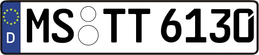 MS-TT6130