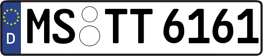MS-TT6161