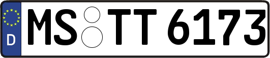 MS-TT6173