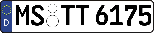 MS-TT6175