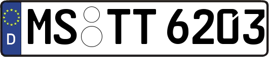 MS-TT6203