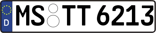 MS-TT6213