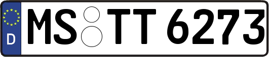MS-TT6273
