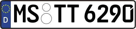 MS-TT6290