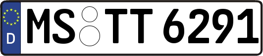 MS-TT6291