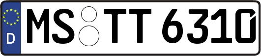 MS-TT6310